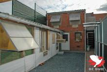 De hokken van Delbaere-Sampers. De hokken van Delbaere-Sampers.