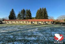 De hokken bij Serge Van Elsacker-Jepsen. De hokken bij Serge Van Elsacker-Jepsen.