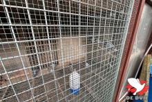 De hokken bij Serge Van Elsacker-Jepsen. De hokken bij Serge Van Elsacker-Jepsen.