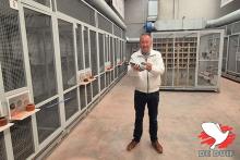 De hokken van Gino Clicque in Wevelgem. De hokken van Gino Clicque in Wevelgem.