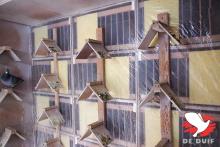 De broedbakken worden afgeschermd en voorzien van zitschapjes. De broedbakken worden afgeschermd en voorzien van zitschapjes.