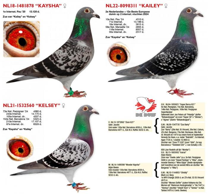 “Kaysha”, “Kailey” en “Kelsey”. “Kaysha”, “Kailey” en “Kelsey”.