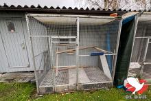 De hokken van Koen De Backer in Hoevenen. De hokken van Koen De Backer in Hoevenen.