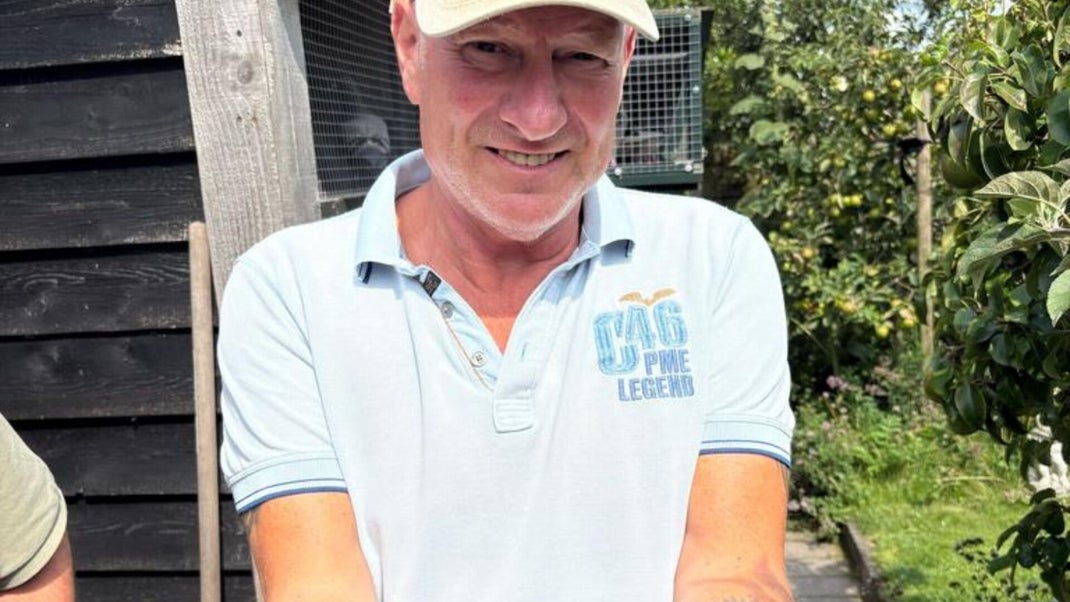 Peter Schellevis Racing Pigeons For Sale